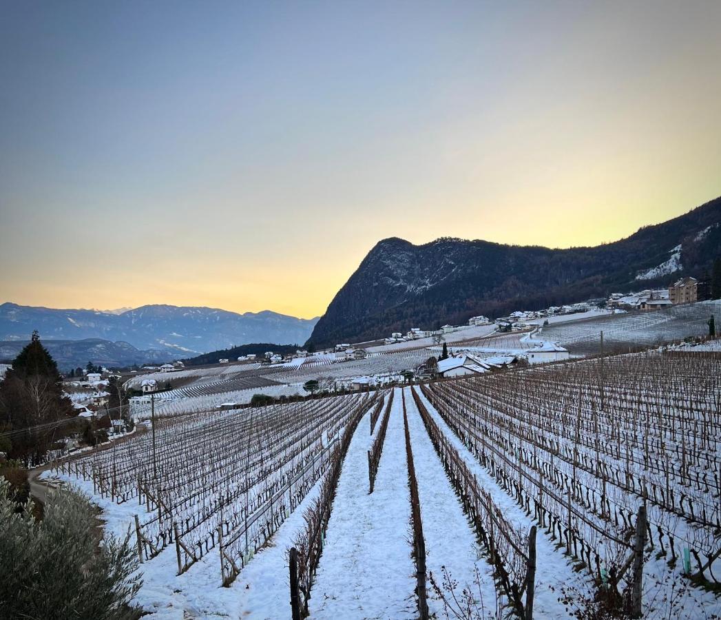 Strahlerhof Apartment Appiano Sulla Strada Del Vino Luaran gambar