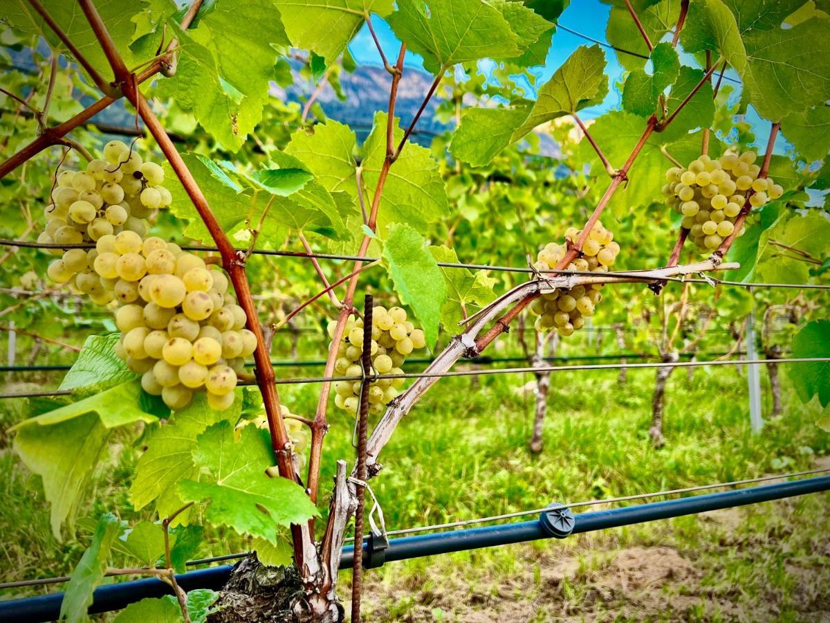 Strahlerhof Apartment Appiano Sulla Strada Del Vino Luaran gambar