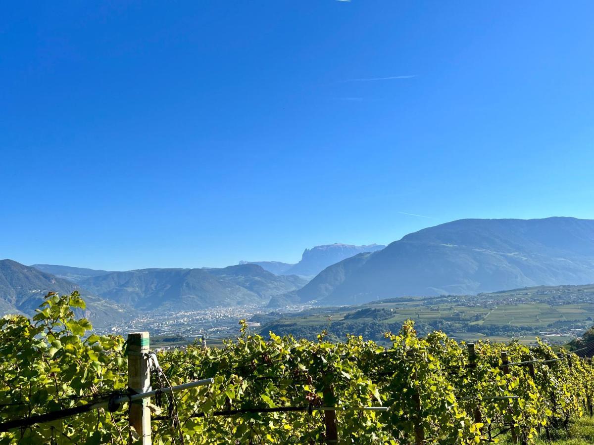 Strahlerhof Apartment Appiano Sulla Strada Del Vino Luaran gambar