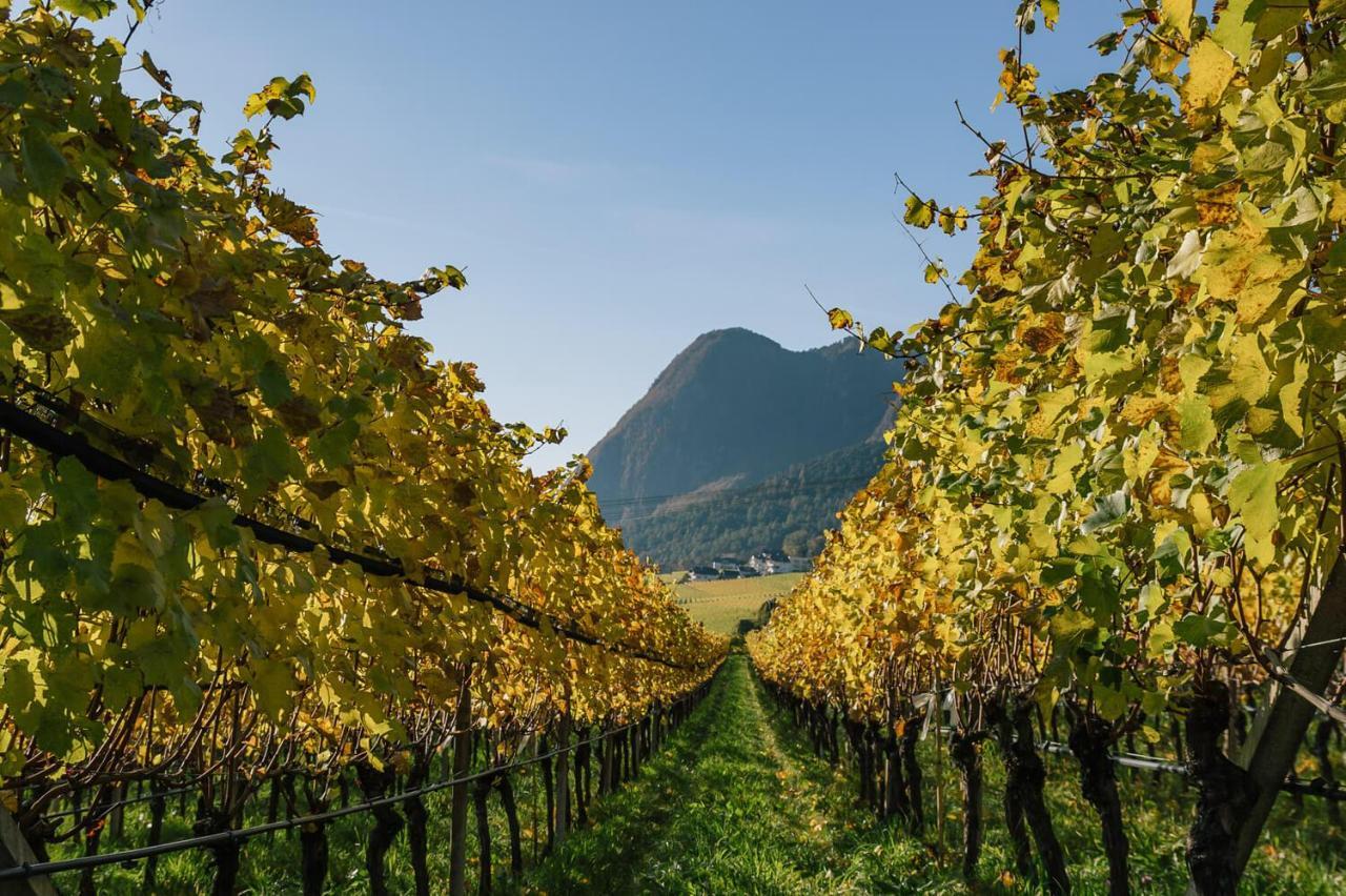 Strahlerhof Apartment Appiano Sulla Strada Del Vino Luaran gambar
